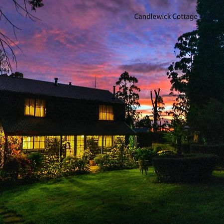 Observatory Cottages Mount Dandenong Esterno foto