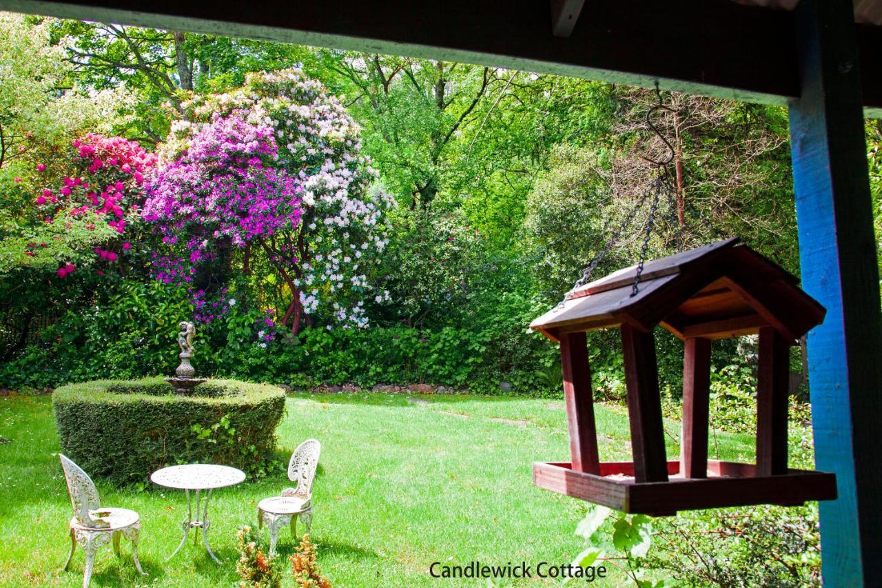 Observatory Cottages Mount Dandenong Esterno foto