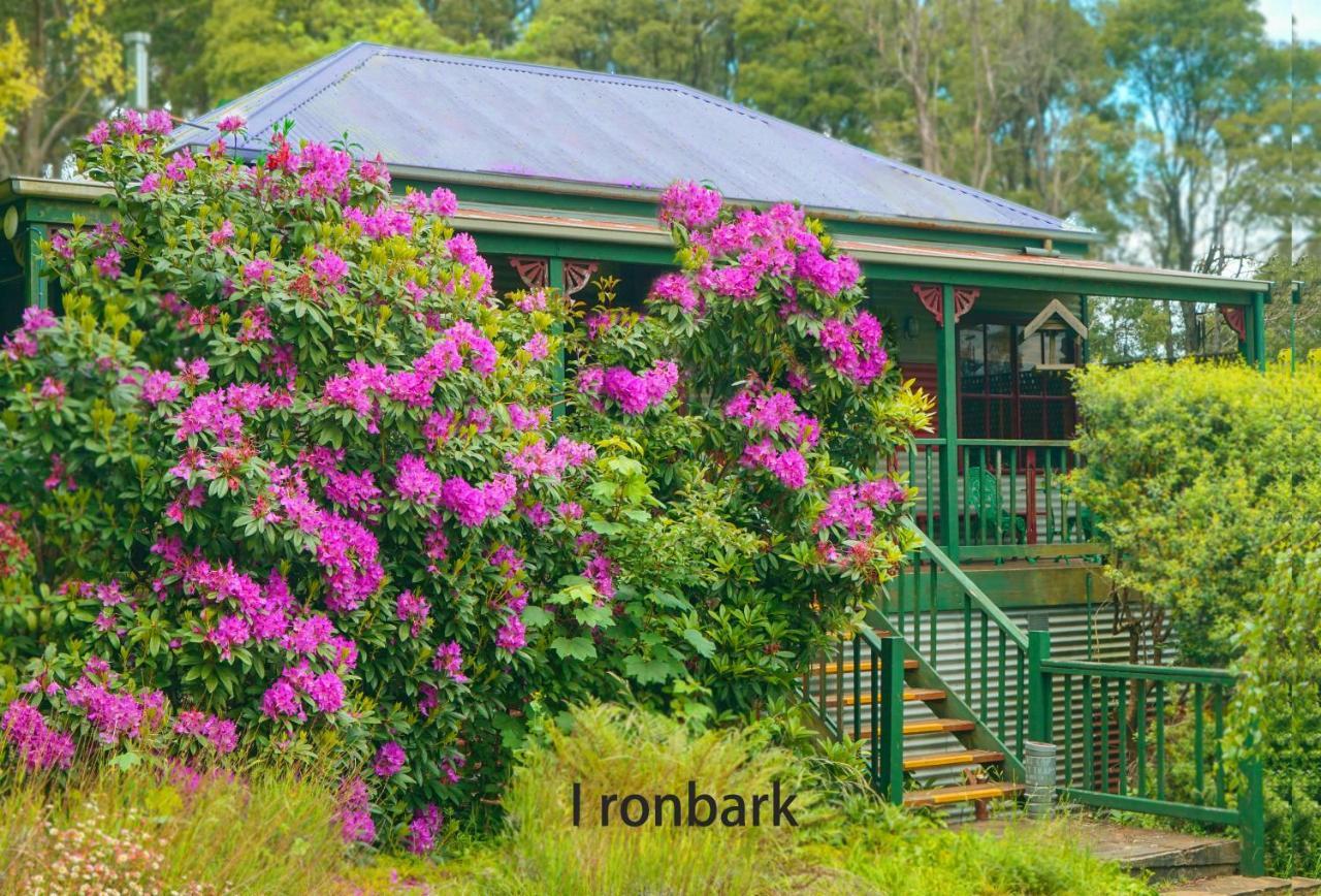 Observatory Cottages Mount Dandenong Esterno foto