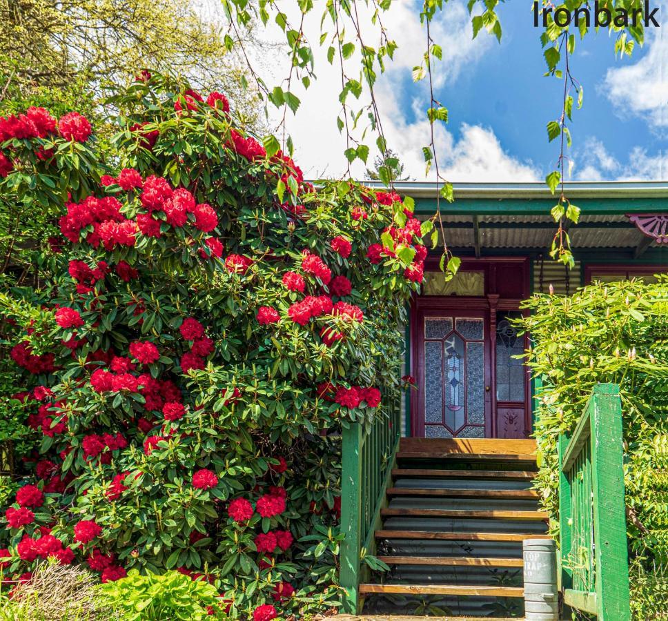 Observatory Cottages Mount Dandenong Esterno foto