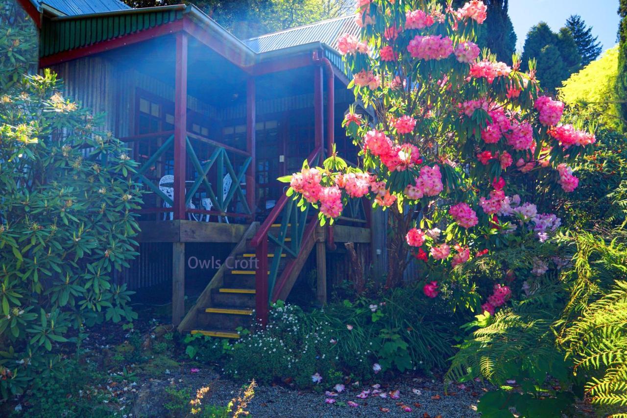 Observatory Cottages Mount Dandenong Esterno foto
